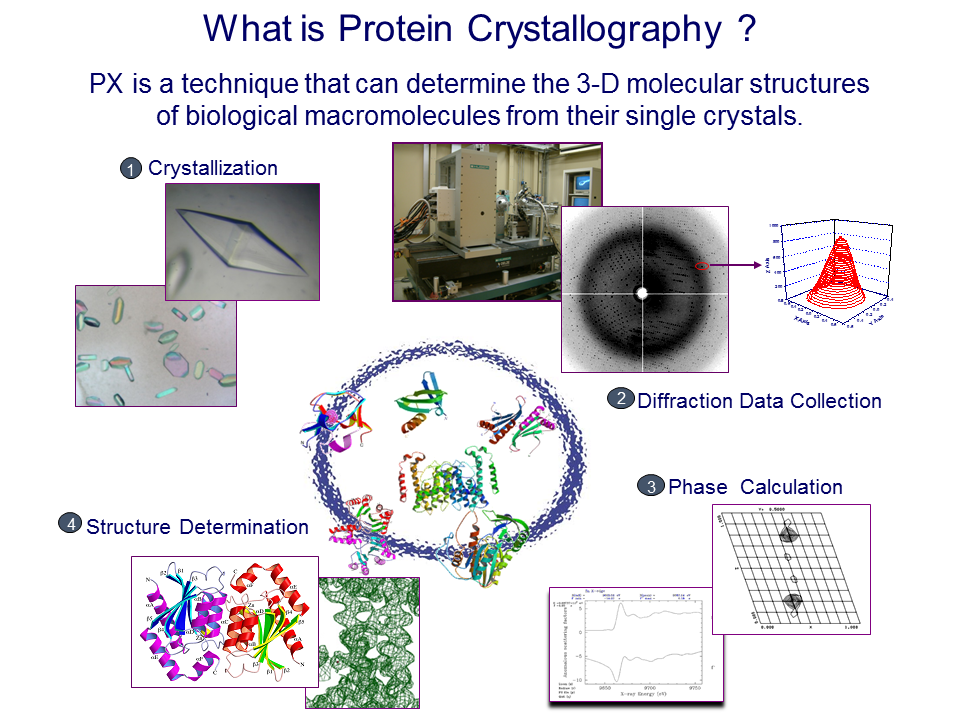 Taiwan Photon Source Beamlines